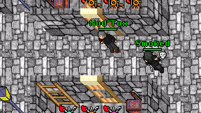 Nod'Tox on screen