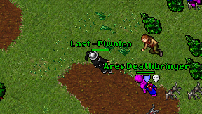 Last-Piwnica on screen
