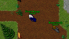 Frel Asas on screen