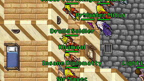 Druiid Soldier on screen