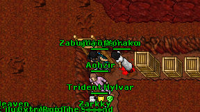 Joasekk on screen