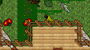 Bijup-angel on screen