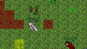 Fizzed on screen
