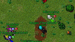 Magic The Druid on screen