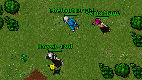 Chelmut Druid on screen