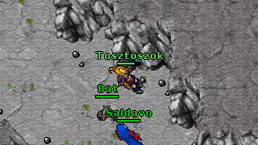 Tosztoszok on screen