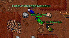 Elin Taros on screen