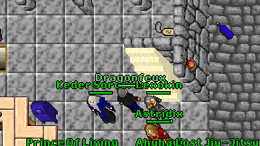 Dragonfeux on screen
