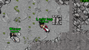 Lady lop on screen