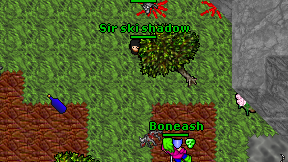 Sir ski shadow on screen