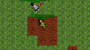 Trigerpawn on screen