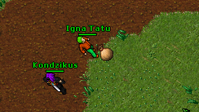 Igna Tatu on screen