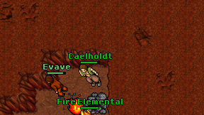 Caelholdt on screen