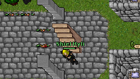 Shiel Hyli on screen