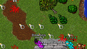 Domien on screen