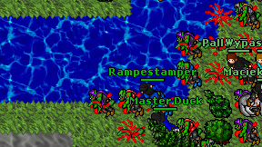 Master Duck on screen
