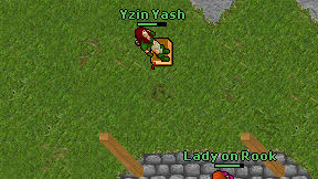 Yzin Yash on screen