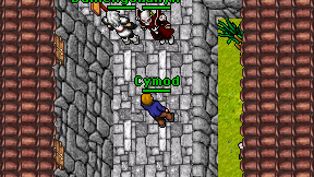 Cymod on screen