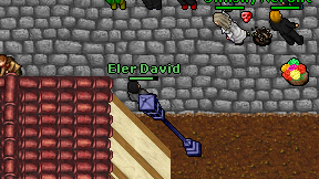 Eler David on screen