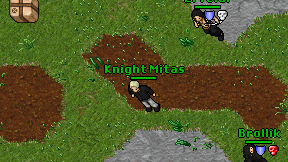 Knight Mitas on screen