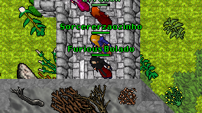 Sorcererzaozinho on screen
