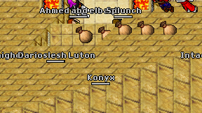 Konyx on screen