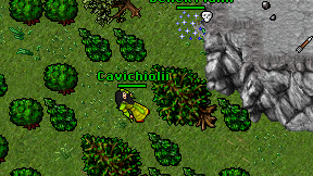 Cavichiolii on screen