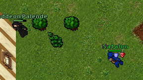 Raddeon Palende on screen
