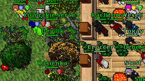 Toxav on screen