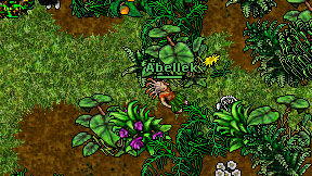 Abellek on screen