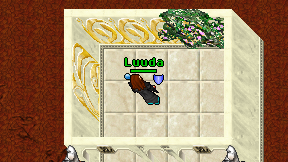 Luuda on screen