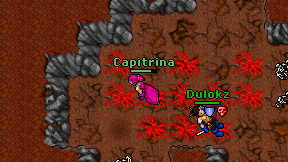Capitrina on screen