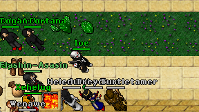 Ioe on screen