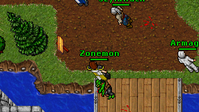 Zonemon on screen