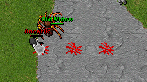 Ancerik on screen