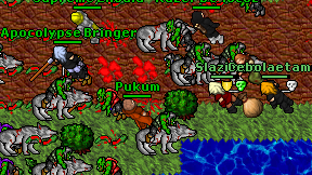 Pukum on screen