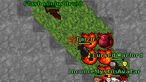 Flash sonics druid on screen