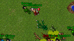 Obelixss on screen