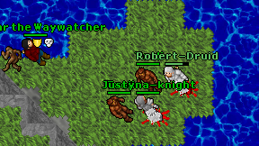 Robert-Druid on screen