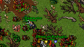 Hammahe on screen