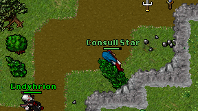 Consull Star on screen