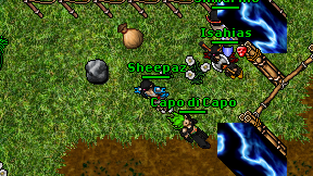 Sheepaz on screen