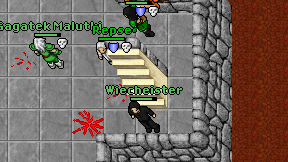 Wiecheister on screen