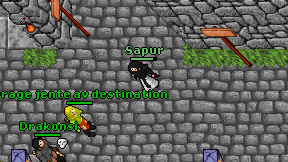 Sapur on screen