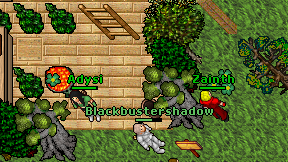 Adysi on screen