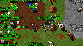 Royal Steffe on screen