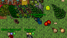 Valin Horn on screen