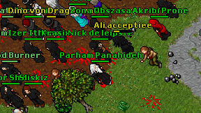 Parham Panahideh on screen