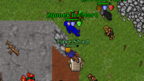 Tase Shad on screen