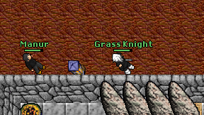 Grass Knight on screen